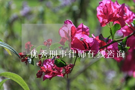 优秀刑事律师在线咨询 优秀刑事律师在线咨询