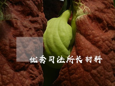 优秀司法所长材料 优秀司法所长材料