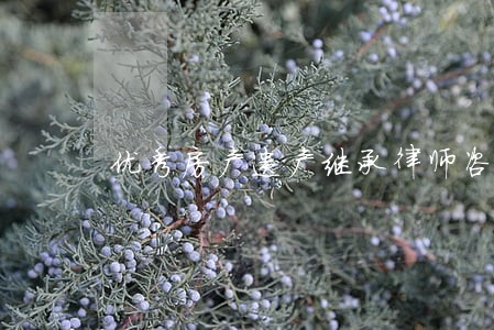优秀房产遗产继承律师咨询电话 优秀房产遗产继承律师咨询电话