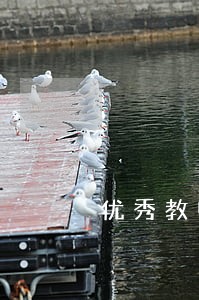 优秀教师学习法律心得体会 优秀教师学习法律心得体会