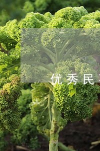 优秀民事合同纠纷律师团队 优秀民事合同纠纷律师团队