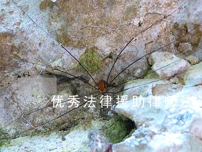 优秀法律援助律师法斗士 优秀法律援助律师法斗士