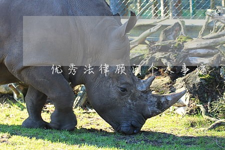 优秀法律顾问个人事迹 优秀法律顾问个人事迹