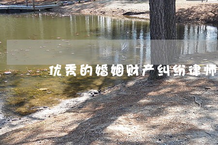 优秀的婚姻财产纠纷律师咨询电话 优秀的婚姻财产纠纷律师咨询电话