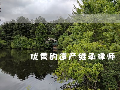 优秀的遗产继承律师