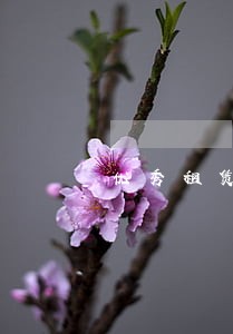 优秀租赁合同纠纷律师 优秀租赁合同纠纷律师