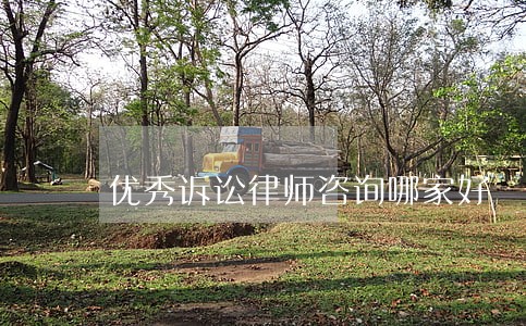 优秀诉讼律师咨询哪家好 优秀诉讼律师咨询哪家好