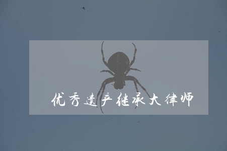 优秀遗产继承大律师 优秀遗产继承大律师