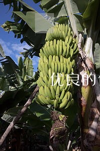 优良的债权债务律师收费多少 优良的债权债务律师收费多少