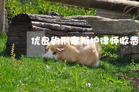 优良的刑事辩护律师收费多少 优良的刑事辩护律师收费多少