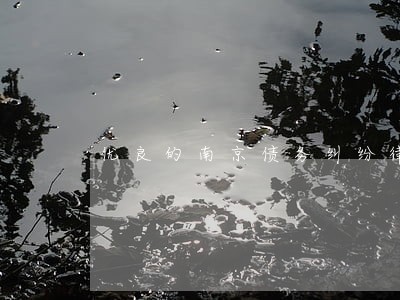 优良的南京债务纠纷律师 优良的南京债务纠纷律师