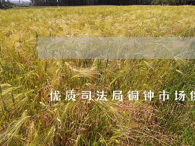 优质司法局铜钟市场供应 优质司法局铜钟市场供应