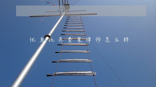 优质抚养费案律师怎么样 优质抚养费案律师怎么样