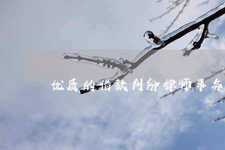 优质的借款纠纷律师事务所 优质的借款纠纷律师事务所