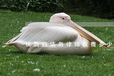 优质的债务律师收费多少 优质的债务律师收费多少