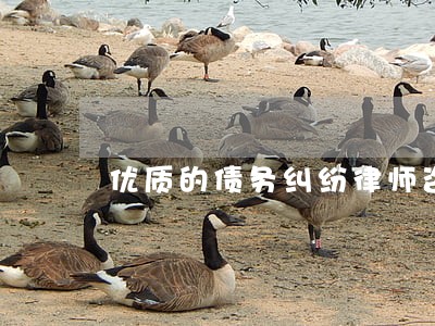 优质的债务纠纷律师咨询 优质的债务纠纷律师咨询