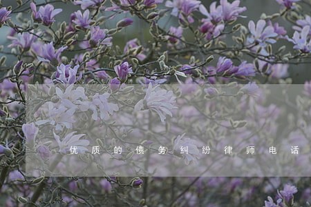 优质的债务纠纷律师电话 优质的债务纠纷律师电话