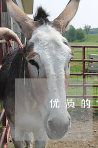 优质的债权债务律师哪个好 优质的债权债务律师哪个好