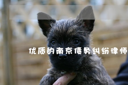 优质的南京债务纠纷律师免费咨询 优质的南京债务纠纷律师免费咨询