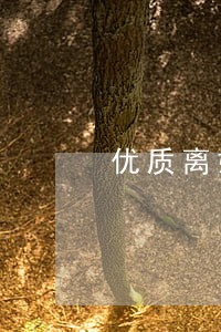 优质离婚调解律师热线 优质离婚调解律师热线