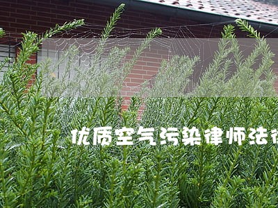 优质空气污染律师法律辩护