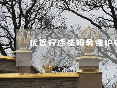 优驾行违法服务维护中