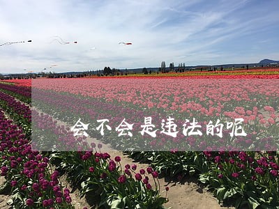 会不会是违法的呢