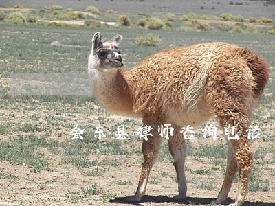 会东县律师咨询电话 会东县律师咨询电话