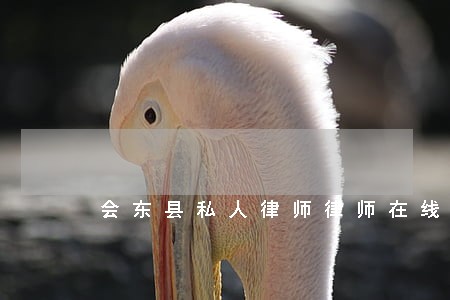 会东县私人律师律师在线免费咨询