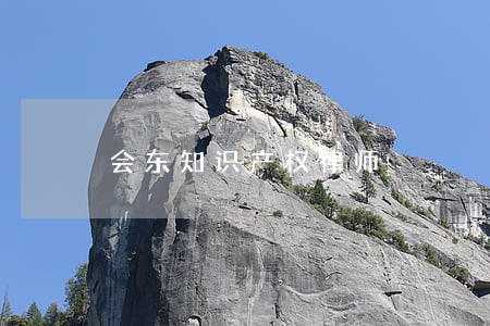 会东知识产权律师 会东知识产权律师