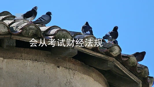 会从考试财经法规