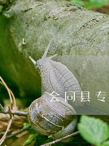 会同县专利律师咨询电话 会同县专利律师咨询电话