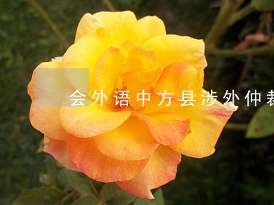会外语中方县涉外仲裁在线律师 会外语中方县涉外仲裁在线律师