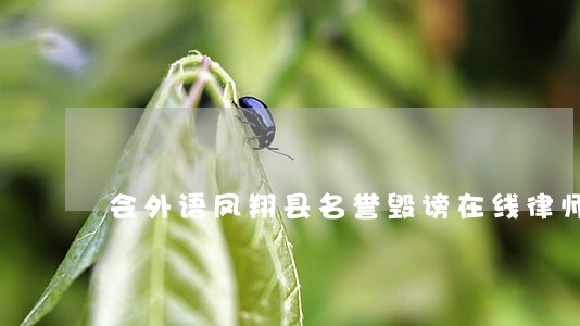 会外语凤翔县名誉毁谤在线律师 会外语凤翔县名誉毁谤在线律师