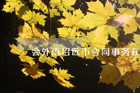 会外语招远市合同事务在线律师
