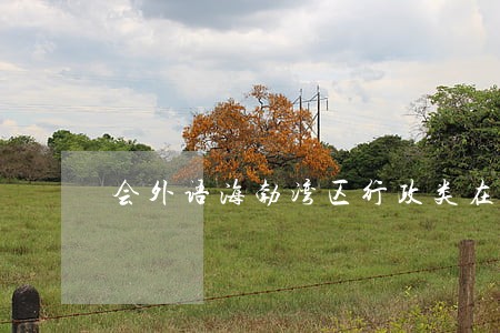 会外语海勃湾区行政类在线律师 会外语海勃湾区行政类在线律师