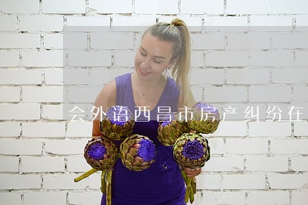 会外语西昌市房产纠纷在线律师 会外语西昌市房产纠纷在线律师