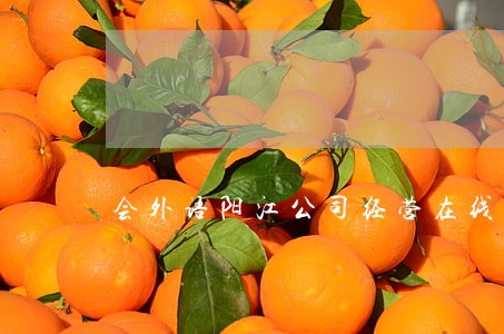 会外语阳江公司经营在线律师