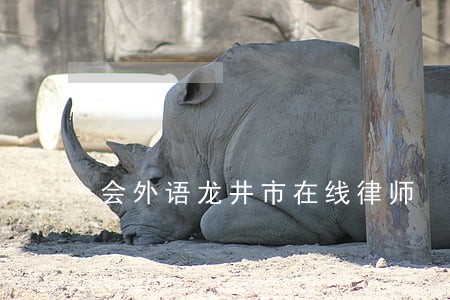 会外语龙井市在线律师