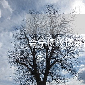 会宁债权债务律师官司 会宁债权债务律师官司