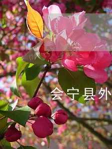会宁县外商投资在线律师 会宁县外商投资在线律师
