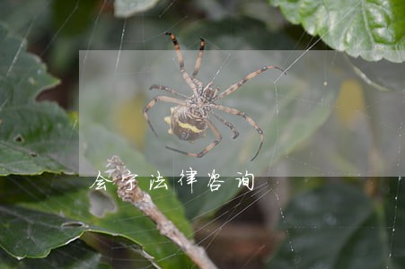 会宁法律咨询 会宁法律咨询