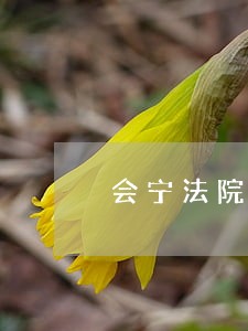 会宁法院在行