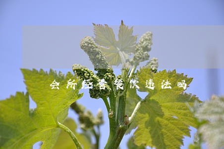 会所经营餐饮违法吗 会所经营餐饮违法吗