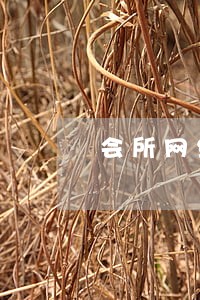 会所网络推广违法吗