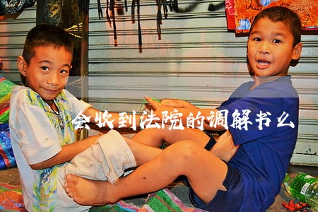 会收到法院的调解书么 会收到法院的调解书么