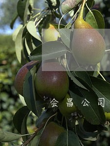 会昌公司法律顾问代理律师 会昌公司法律顾问代理律师