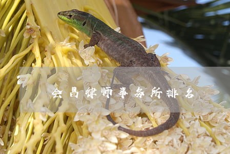 会昌律师事务所排名 会昌律师事务所排名