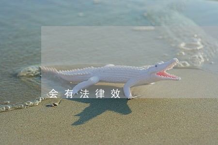 会有法律效 会有法律效