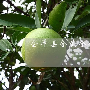 会泽县合资合作律师咨询电话